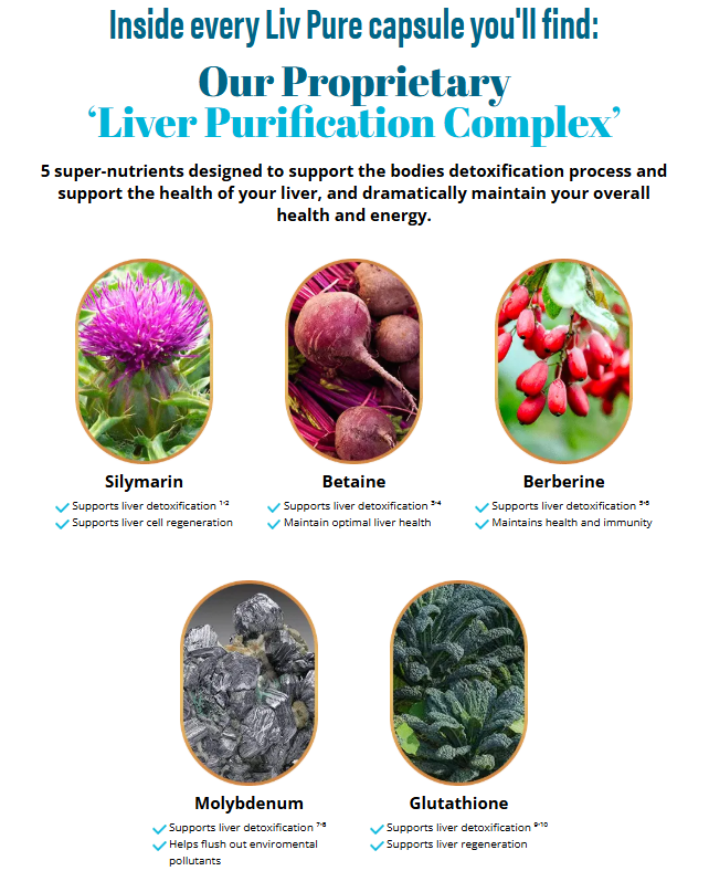 Live pure Website Builder