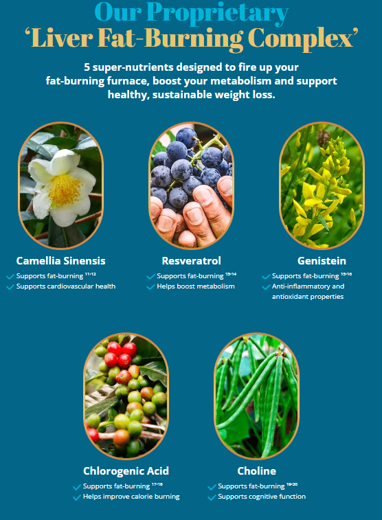 Livpure Website Builder1